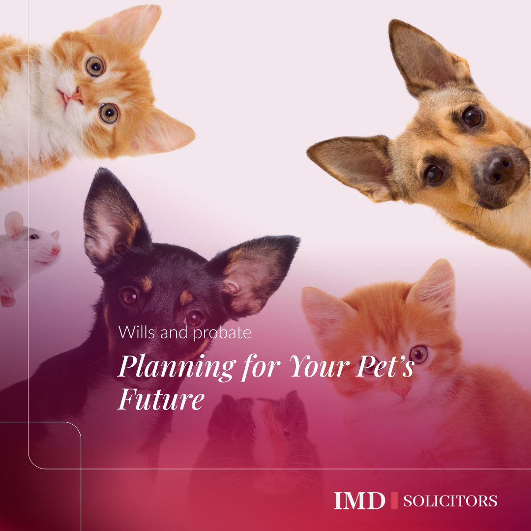 Planning for Your Pet’s Future 