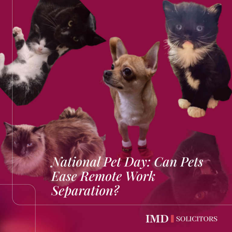 National Pet Day: Can Pets Ease Remote Work Separation?